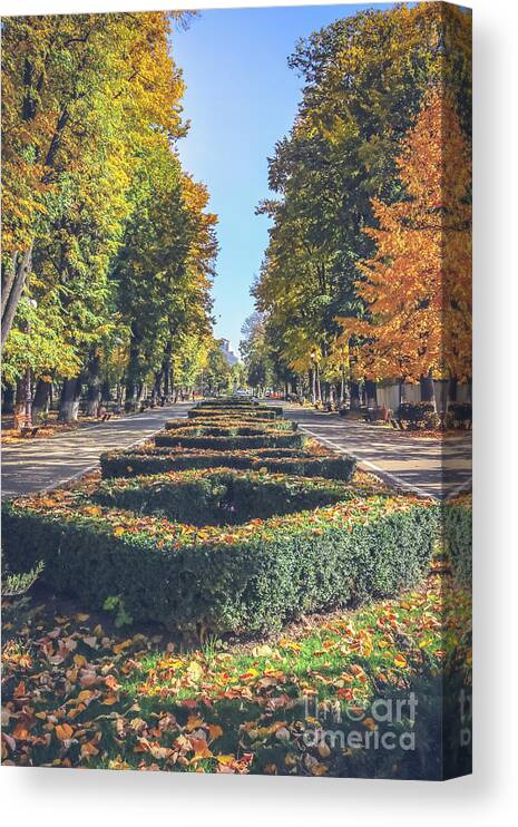 Autumn Canvas Print featuring the photograph Autumn in the park 1 by Claudia M Photography