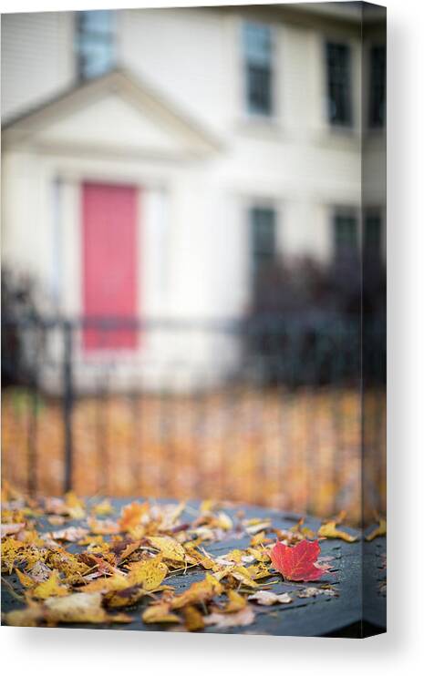 Leaves Leaf Leave Fallen House Architecture Fence Bokeh Windows Outside Outdoors Brian Hale Brianhalephoto Autumn Fall Table Newengland New England U.s.a. Usa Rustic Canvas Print featuring the photograph Autumn Leaves by Brian Hale