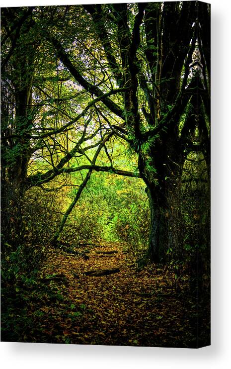 Autumn Light Canvas Print featuring the photograph Autumn Light by David Patterson