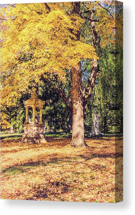 Autumn Canvas Print featuring the photograph Autumn Lights by Cathy Donohoue