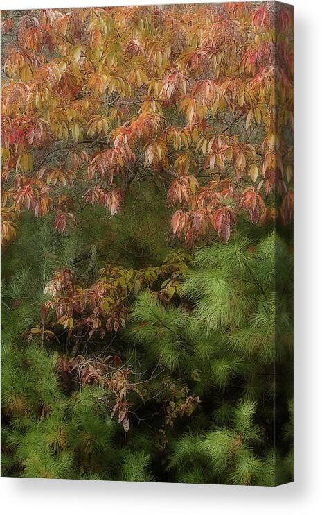 Leaves Canvas Print featuring the photograph Autumn Mixing by Mike Eingle