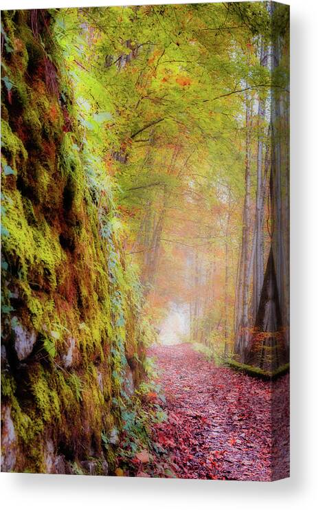 Autumn Canvas Print featuring the photograph Autumn Path by Geoff Smith