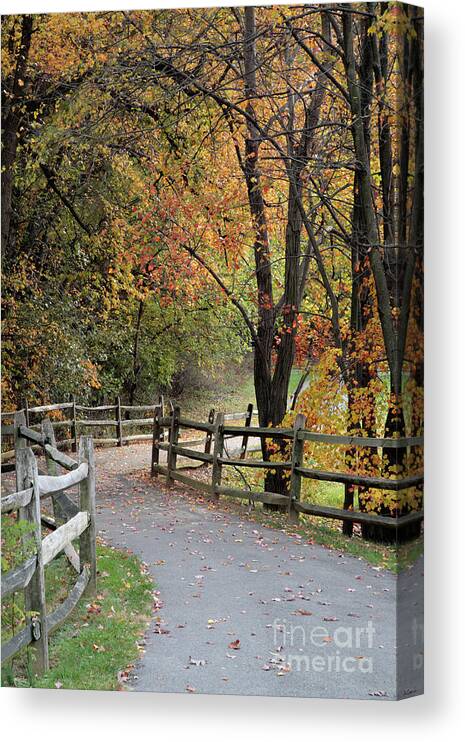 Autumn Canvas Print featuring the photograph Autumn Path in Park in Maryland by William Kuta