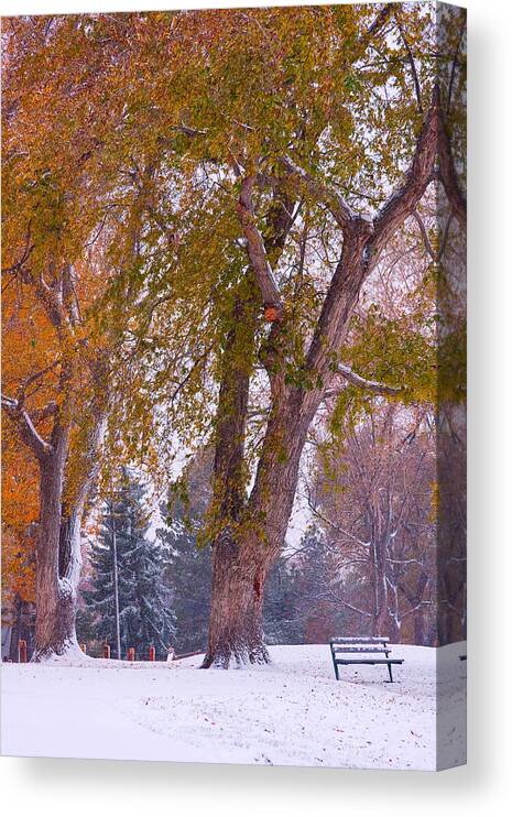 First Snow Canvas Print featuring the photograph Autumn Snow Park Bench  by James BO Insogna