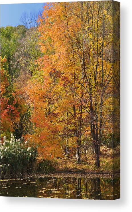 Fall Canvas Print featuring the photograph Autumn Tranquility 4 by Frank Mari