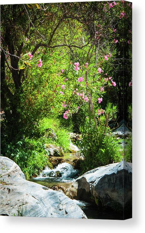 Andalucia Canvas Print featuring the photograph Babbling Brook by Geoff Smith