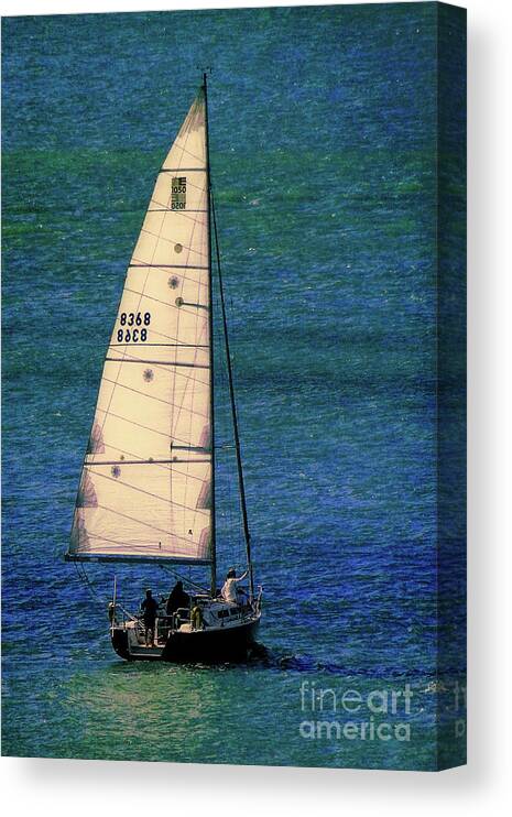 Sailboat Canvas Print featuring the photograph Backlit by the Sun by Sue Melvin