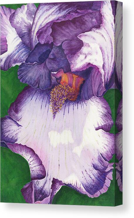 Iris Canvas Print featuring the painting Backyard Beauty by Lori Taylor