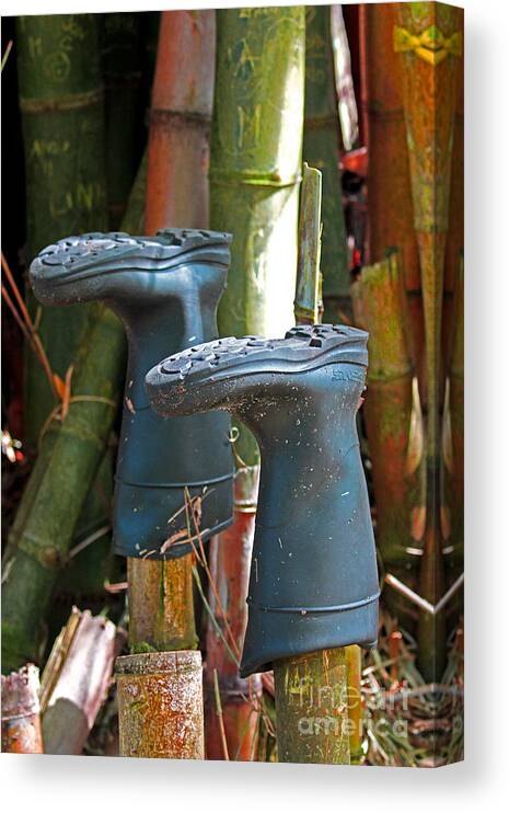  Blac Boots Canvas Print featuring the photograph Bamboo Boots by Jennifer Robin