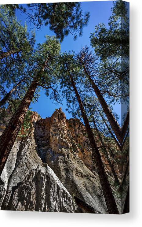 Bandelier Canvas Print featuring the photograph Bandelier Cliffs and Trees by Stuart Litoff