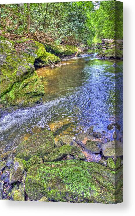 Water Canvas Print featuring the photograph Bark Camp Creek 25 by Sam Davis Johnson