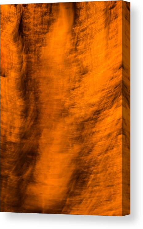 Tree Canvas Print featuring the photograph Bark Motion Abstract by Bruce Pritchett