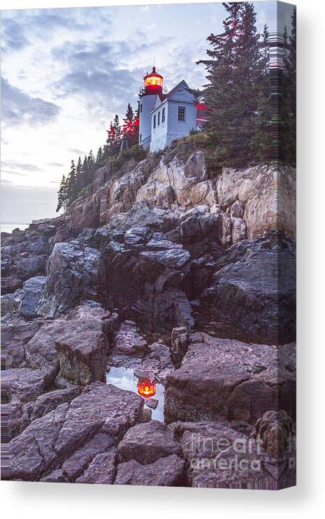 Bass Harbor Canvas Print featuring the photograph Bass Harbor Light Reflection by Crystal Nederman