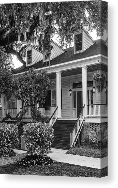Palm Canvas Print featuring the photograph Bayside Academy v1 Vertica BW by Michael Thomas