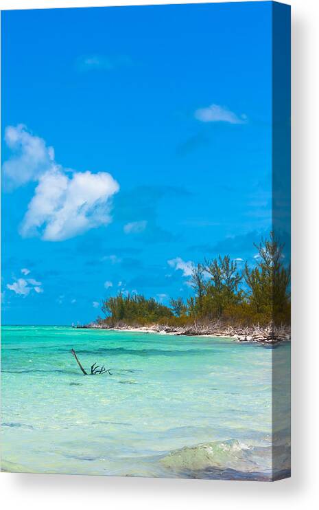 Aquamarine Canvas Print featuring the photograph Beach at North Bimini by Ed Gleichman