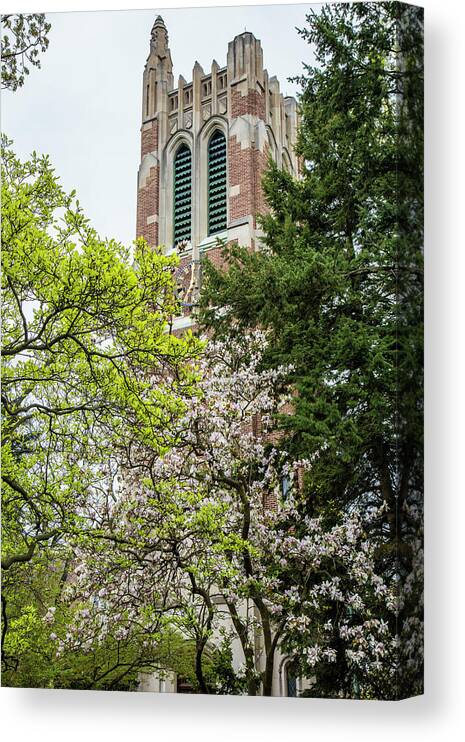 Michigan State University Canvas Print featuring the photograph Beaumont Tower in Spring with Trees by John McGraw
