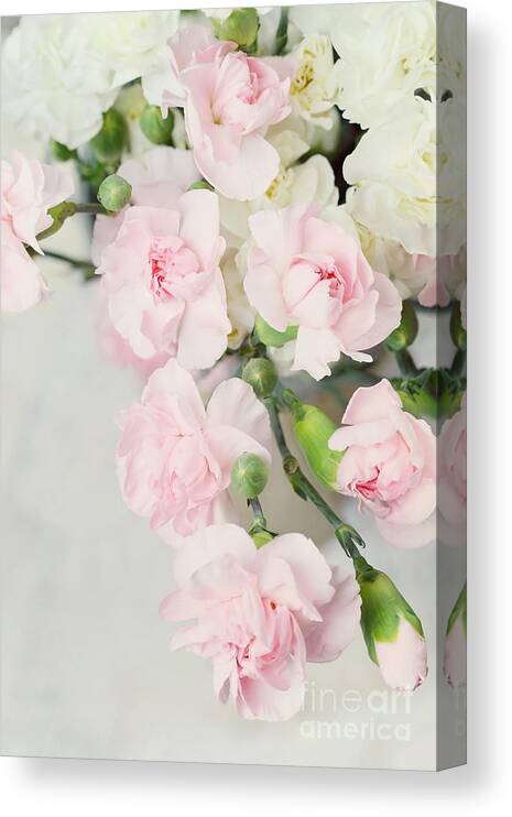 Bouquet Canvas Print featuring the photograph Beautiful Carnations by Stephanie Frey