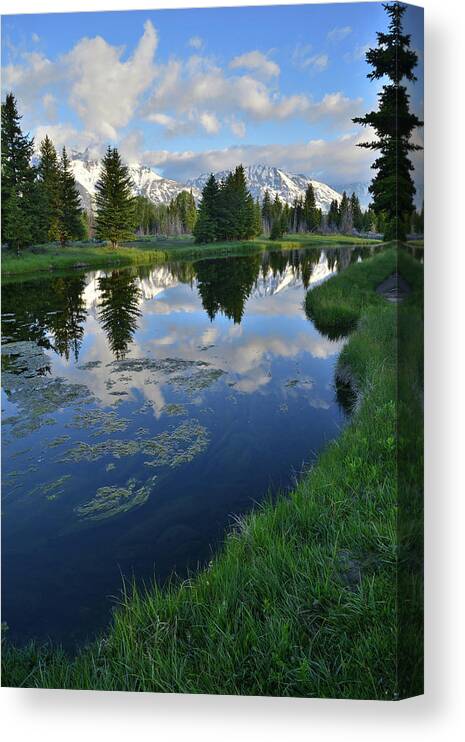 Grand Teton National Park Canvas Print featuring the photograph Beaver Dam at Schwabacher Landing by Ray Mathis