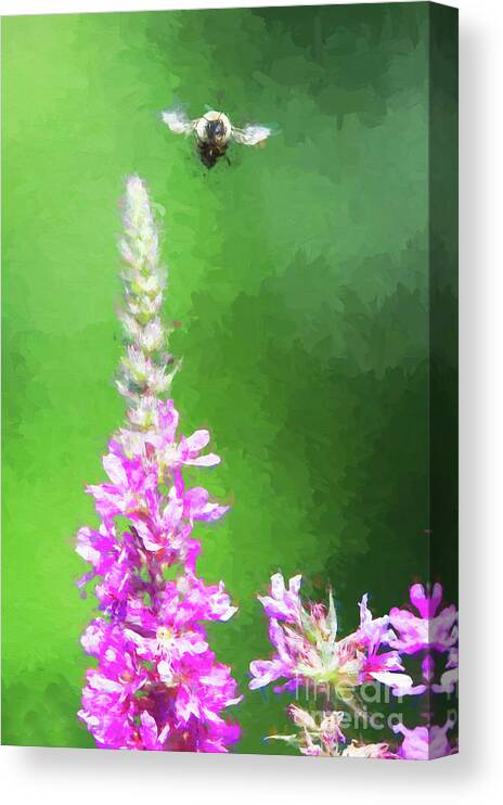 Green Canvas Print featuring the digital art Bee Over Flowers by Ed Taylor