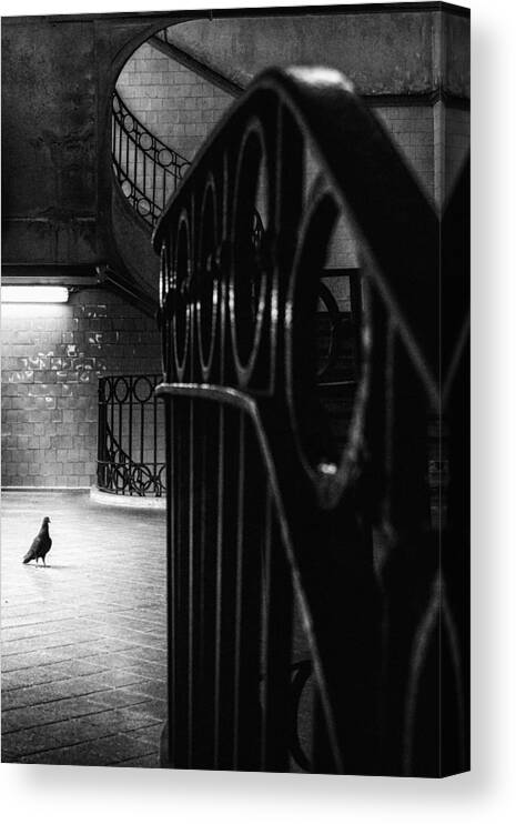 Architecture Canvas Print featuring the photograph Big Bird In A Small Cage by Laura Mexia