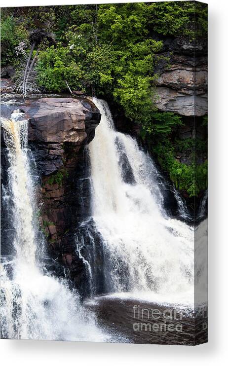 Blackwater Canvas Print featuring the photograph Blackwater Falls #4 by Kevin Gladwell