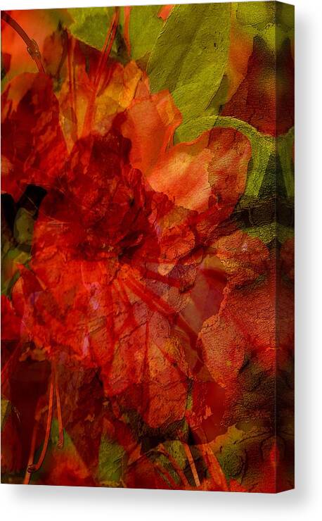 Abstract Canvas Print featuring the digital art Blood Rose by Tom Romeo