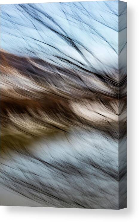 Wind Canvas Print featuring the photograph Blown By The Wind by Deborah Hughes