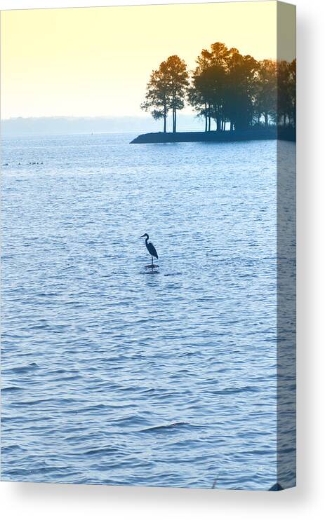 Saint Canvas Print featuring the photograph Blue Heron on the Chesapeake by Bill Cannon