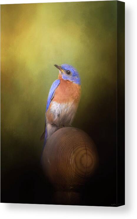 Jai Johnson Canvas Print featuring the photograph Bluebird On The Nest Pole by Jai Johnson