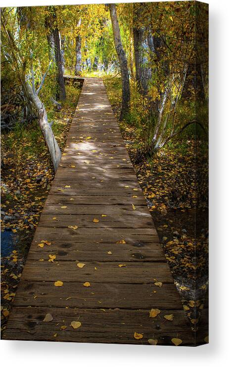 Landscape Canvas Print featuring the photograph Boardwalk over Convict Creek by Ralph Vazquez