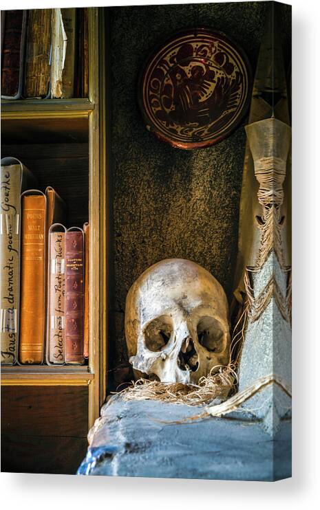 Bookcase Canvas Print featuring the photograph Bookcase Skull by Jack Nevitt