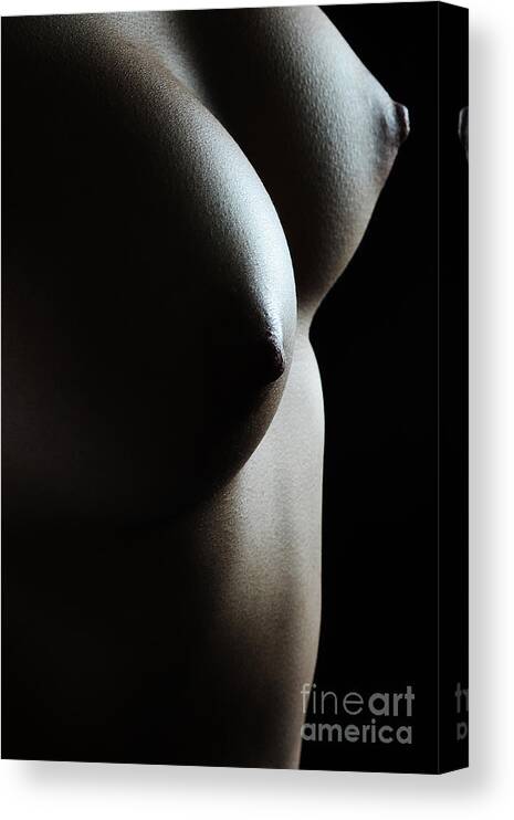 Artistic Photographs Canvas Print featuring the photograph Bosom by Robert WK Clark