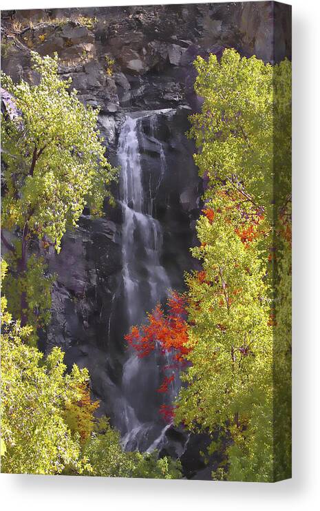 Waterfall Canvas Print featuring the photograph Bridal Veil Falls Black Hills by Richard Stedman