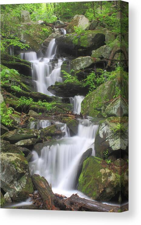 Waterfall Canvas Print featuring the photograph Briggs Brook Waterfall New England National Scenic Trail by John Burk