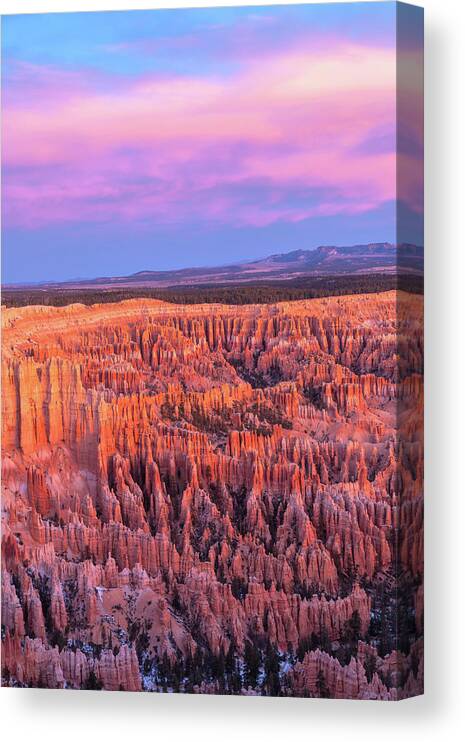 Bryce Canyon National Park Canvas Print featuring the photograph Bryce at Sunrise by Jonathan Nguyen