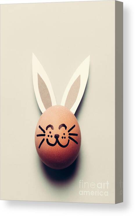 Egg Canvas Print featuring the photograph Bunny egg with long ears and whiskers. by Michal Bednarek