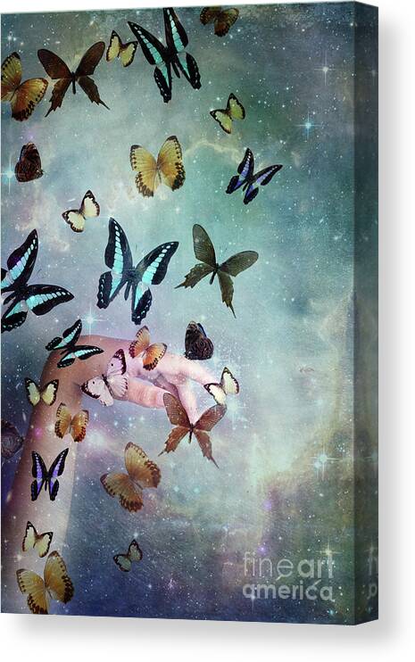 Butterfly Canvas Print featuring the digital art Butterflies Reborn by Stephanie Frey