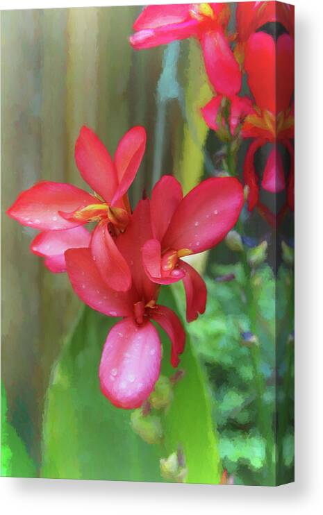 Cana Lily Canvas Print featuring the photograph Canna Lily Delight by Ola Allen