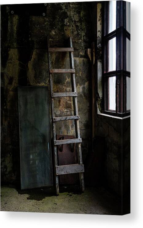 Iceland Canvas Print featuring the photograph Cannery Ladder by Tom Singleton