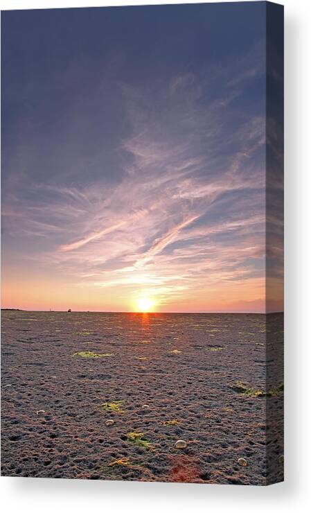 Jellyfish Canvas Print featuring the photograph Cape Cod Jellyfish by Juergen Roth