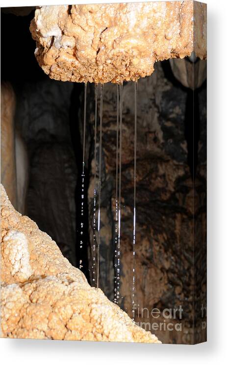 Earth Science Canvas Print featuring the photograph Cave Shower In Lagangs Cave by Fletcher & Baylis