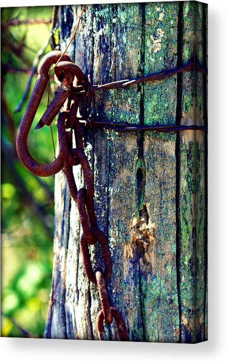 Post Canvas Print featuring the photograph Chained Post by Susie Weaver