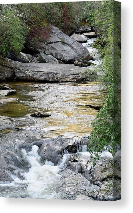 Chattooga River Canvas Print featuring the photograph Chattooga River in SC by Bruce Gourley