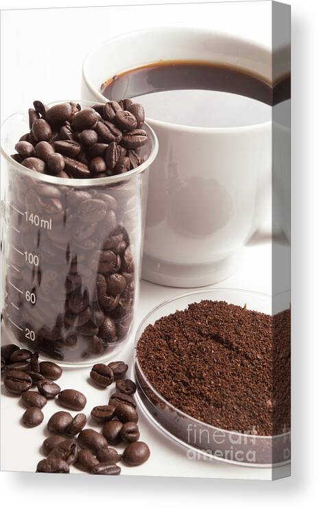 Chemistry Canvas Print featuring the photograph Chemistry of coffee by Michelle Cyr