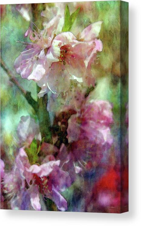 Impressionism Canvas Print featuring the photograph Cherry Blossoms 9309 IDP_2 by Steven Ward