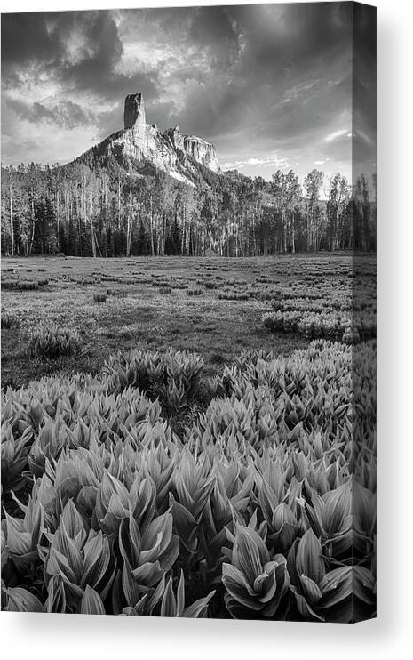 Chimney Rock Canvas Print featuring the photograph Chimney Rock in Black and White by Denise Bush
