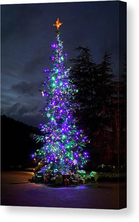Christmas Canvas Print featuring the photograph Christmas Tree - 365 - 295 by Inge Riis McDonald
