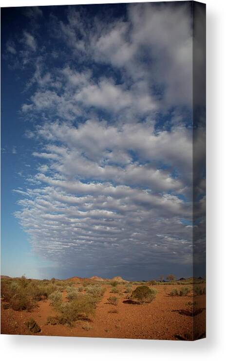 Scrub Canvas Print featuring the photograph Clear Sky To Clouds by Lee Stickels