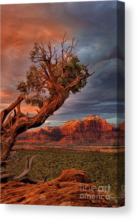 Dave Welling Canvas Print featuring the photograph Clearing Storm And West Temple South Of Zion National Park by Dave Welling