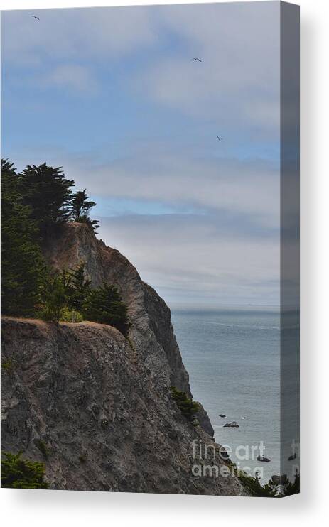 Cliff Canvas Print featuring the photograph Cliff Hanger by Judy Wolinsky